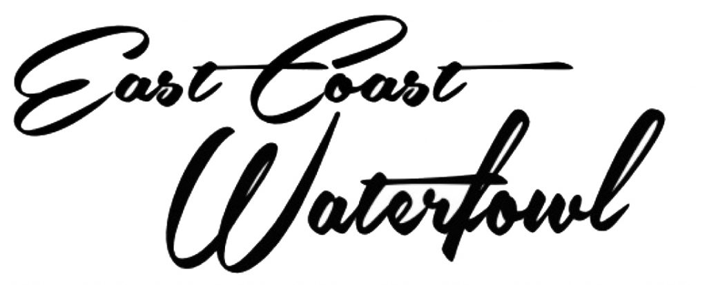 east coast waterfowl        
        <figure class=